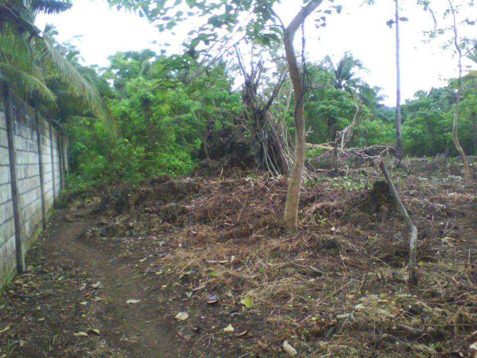 BOHOL PROPERTIES Anda Bohol Beach Lot For sale 09159618186