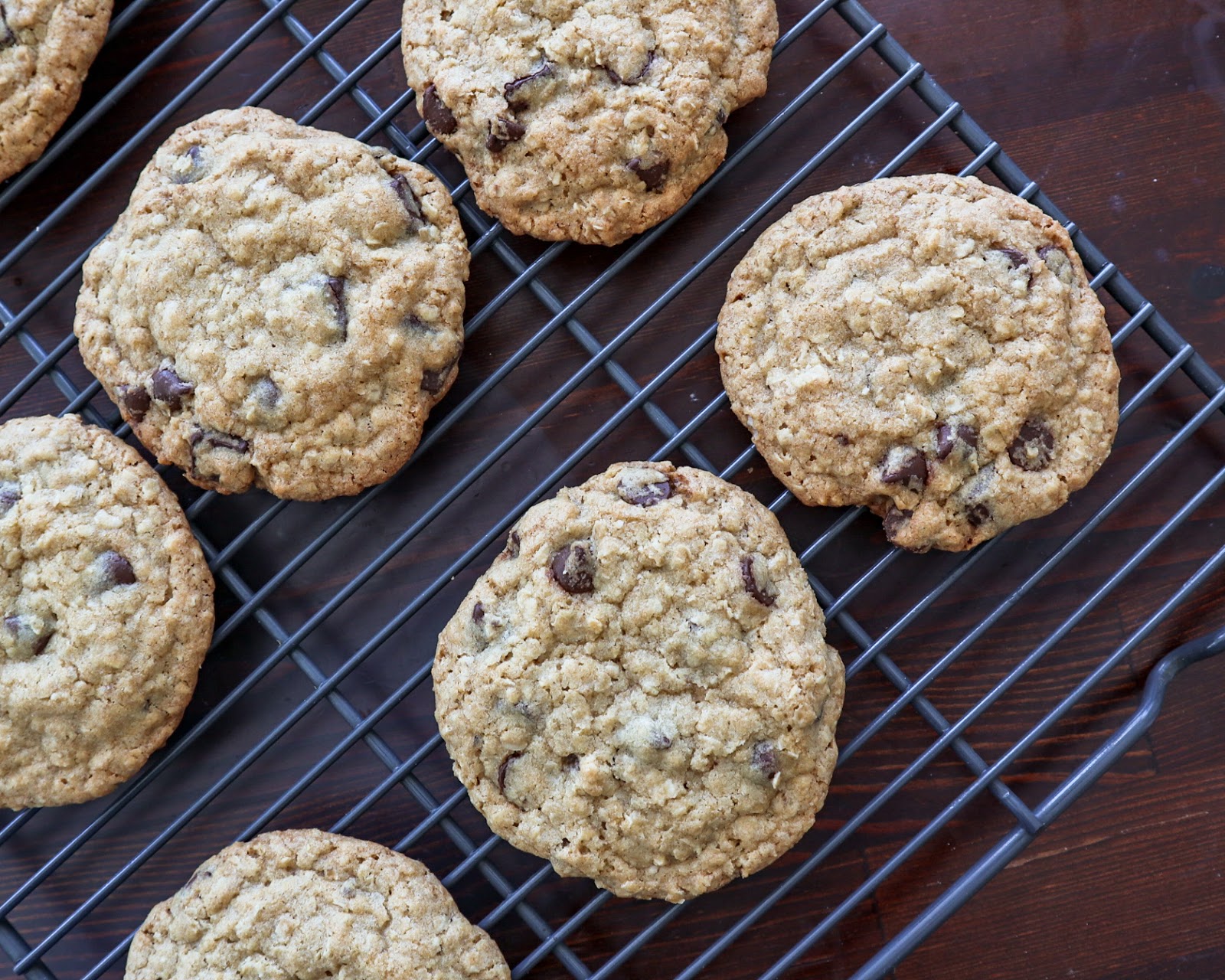 Trusty Crispy yet Chewy Oatmeal Chocolate Cookies Recipe