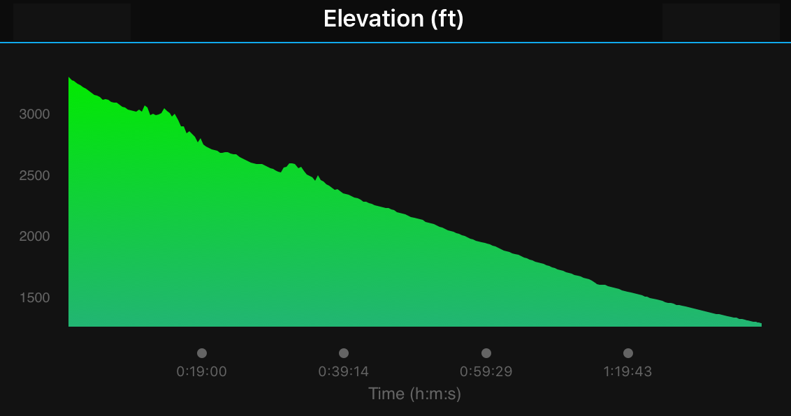 Carlee McDot Fontana Days Run Half Marathon Race Recap