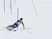 Kayak sporunda slalom yapan bir kayakçıyı gösteren animasyon