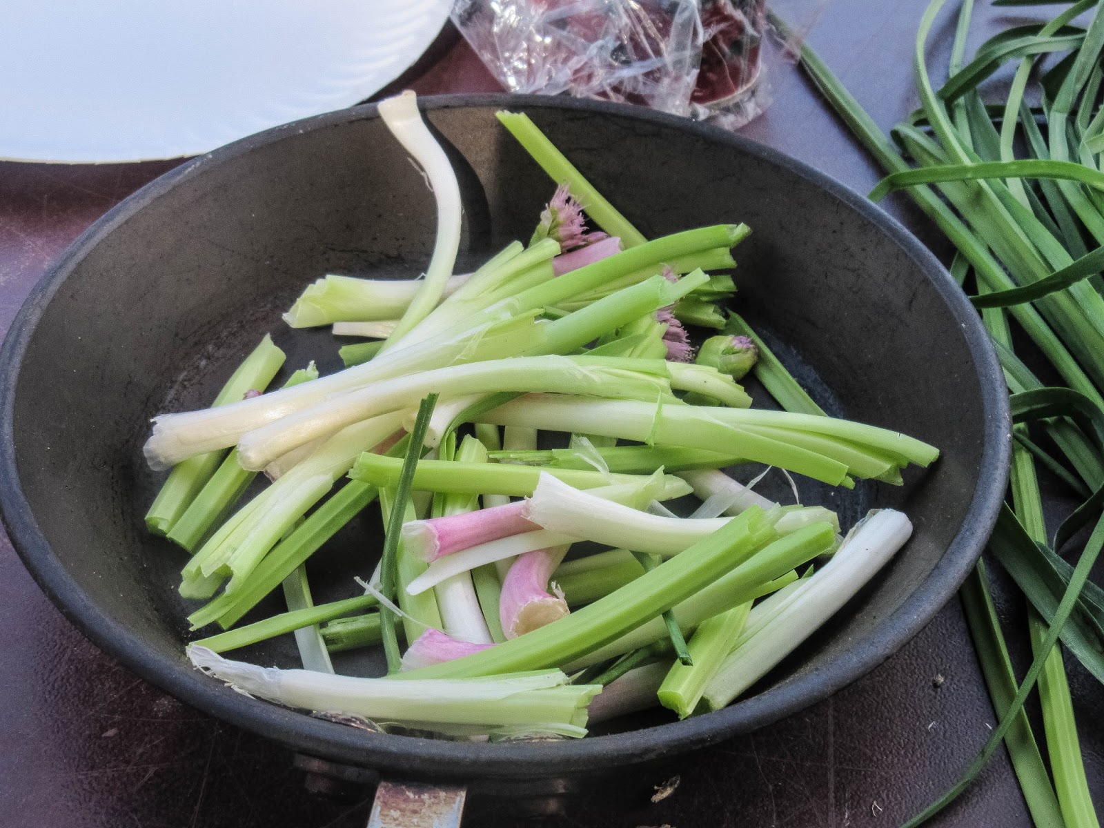 Cannundrums Wild Onions and Steak in the Sierras