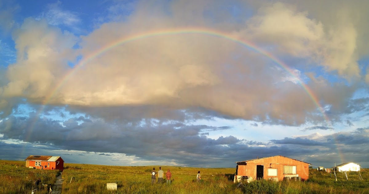 Naknek Seafood Gone Fishing July 25 2016 The last net comes in, Trina