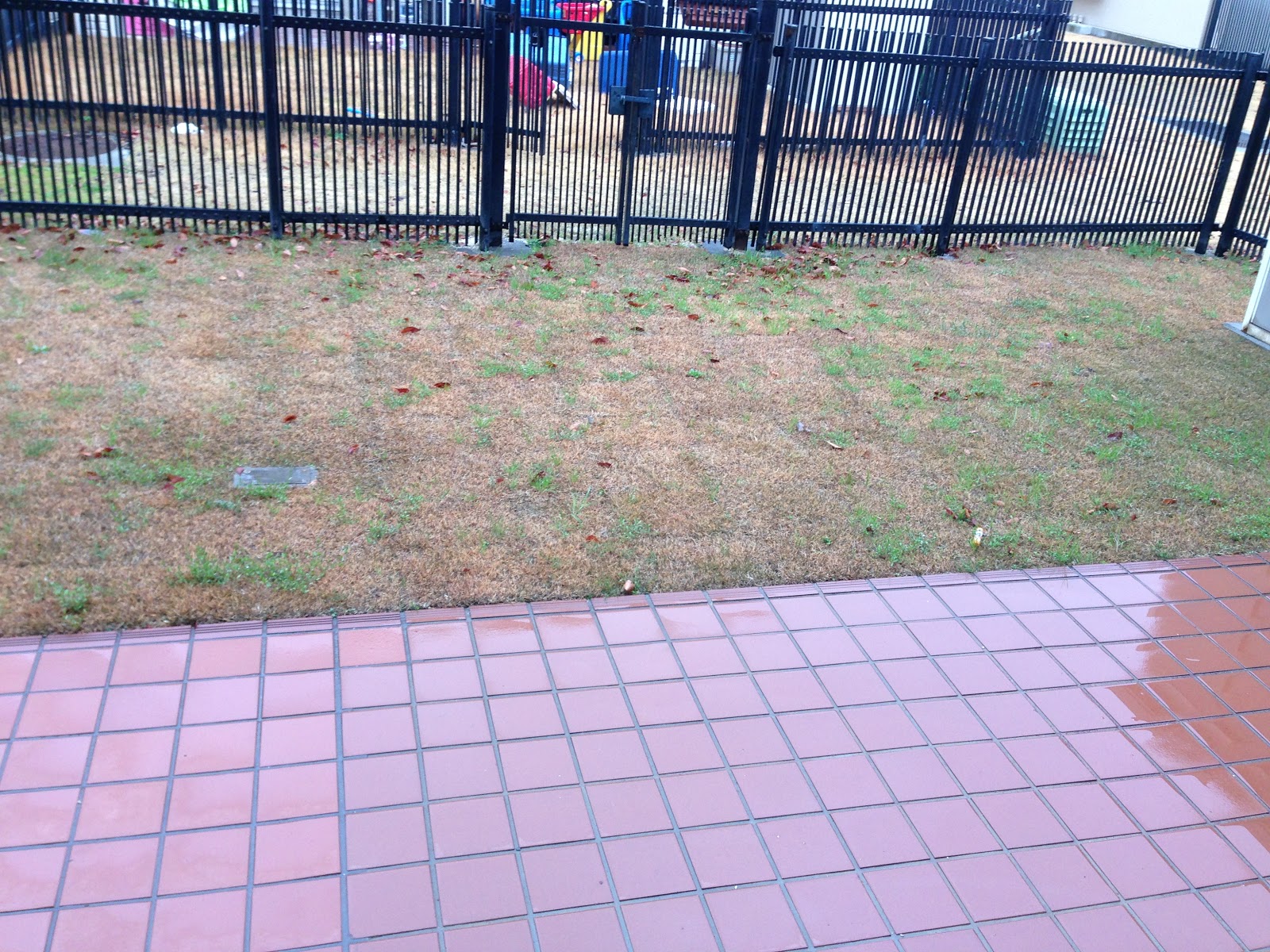 Living the DREAM MCAS Iwakuni, Japan.....Our next Journey