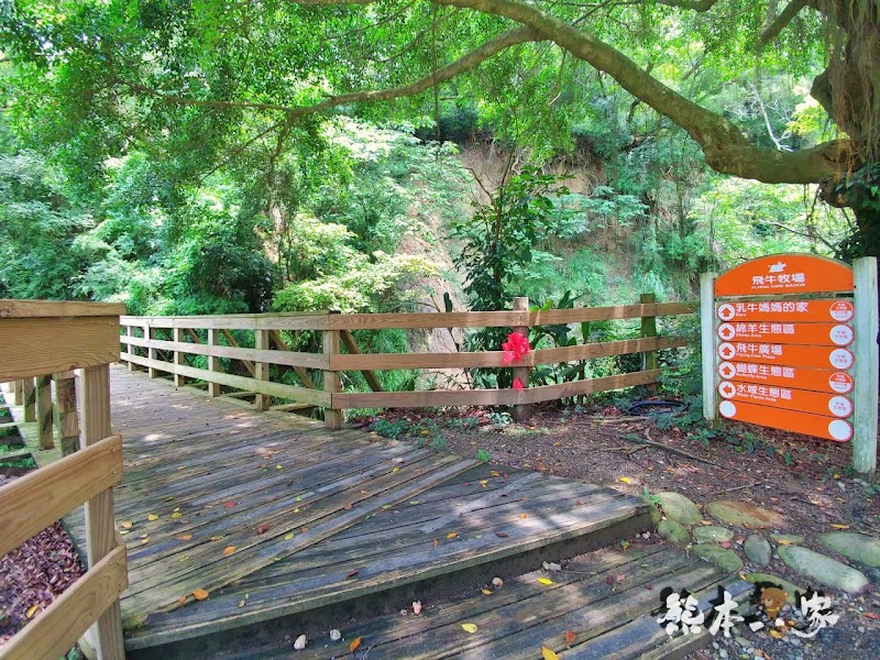 一秒到歐洲|苗栗飛牛牧場|最美牧場和大草原~野餐嬉戲觀乳牛、人工濕地護自然