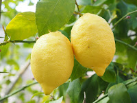 lemon for beauty