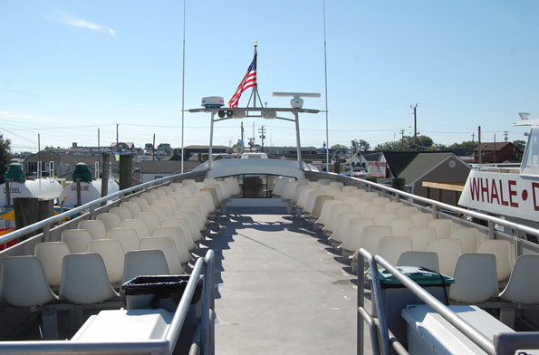 Cape May Wedding Venues Cape May Whale Watcher Cape May Wedding Venues Cape May Whale Watcher