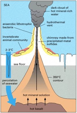 An analysis of the ecosystems in hydrothermal vents