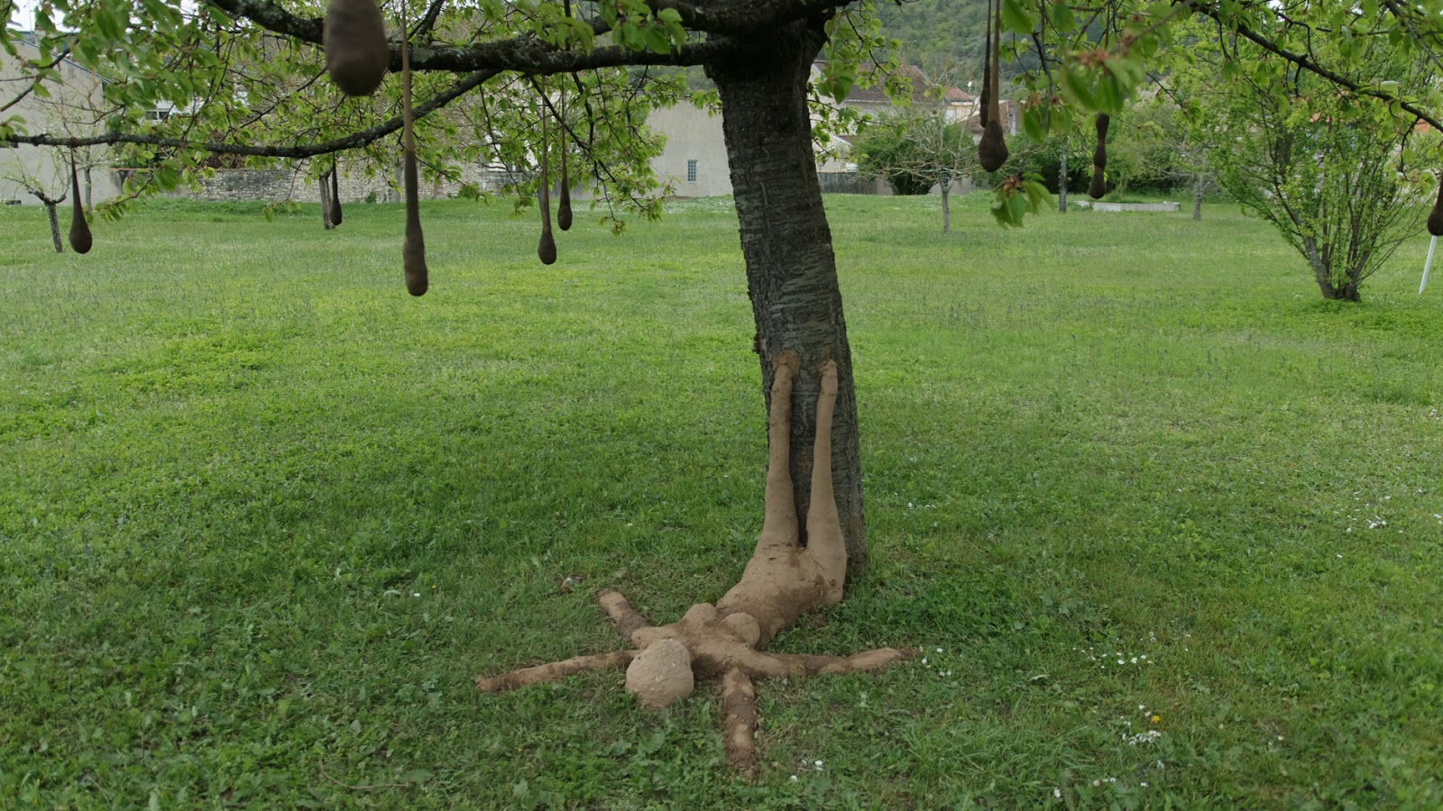 Cahors Juin Jardins Le Festival Qui Cultive L Art Avril 2016