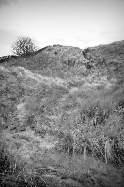 Black and white photograph of sand dunes between Seahouses & Bamburgh by Martyn Ferry Photography