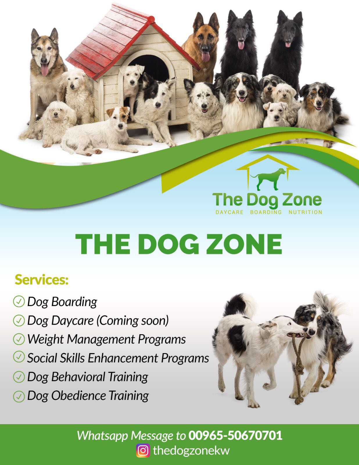 The Dog Zone