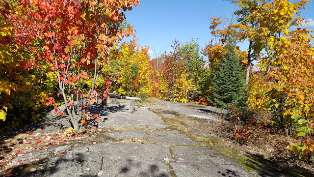 Point de vue lors de la montée vers le Sommet (forêt Ouareau)