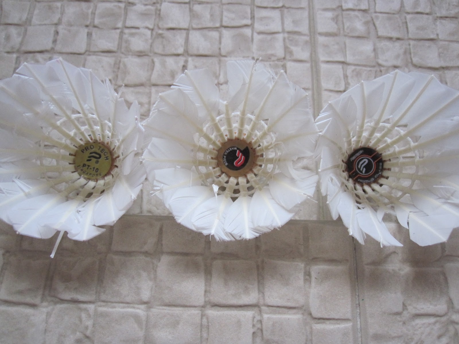 protech pt 10 shuttlecock