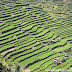 Rice Terrace of the Philippines Cordilleras