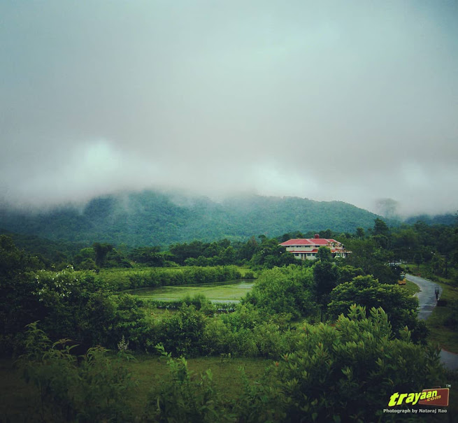 A rainy monsoon day at Bhagamandala in Coorg