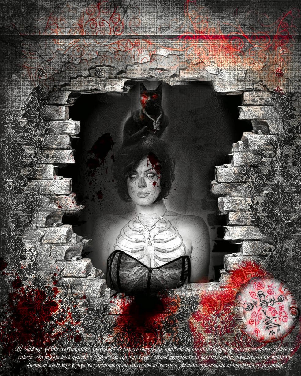 Literaturarte RESEÑAS EL GATO NEGRO Literaturarte RESEÑAS EL GATO NEGRO