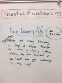 Mr. Stewart's JLCPS 6th Grade Science: Home Learning due 3/13 and 3/14