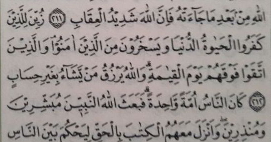 Hanya Ada Dua Surat Di Al Qur’an Yang Miliki Ayat 212, Isinya Pun Sangat Pas Dengan Kondisi Saat Ini