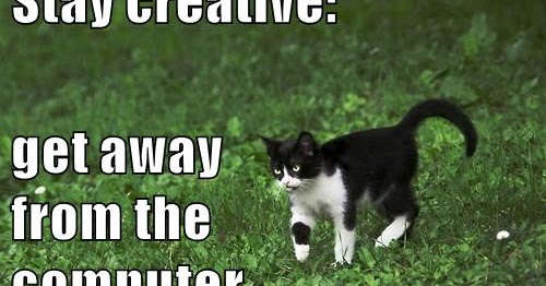 Growth Mindset & Feedback Cats: English. Stay creative: get away from ...