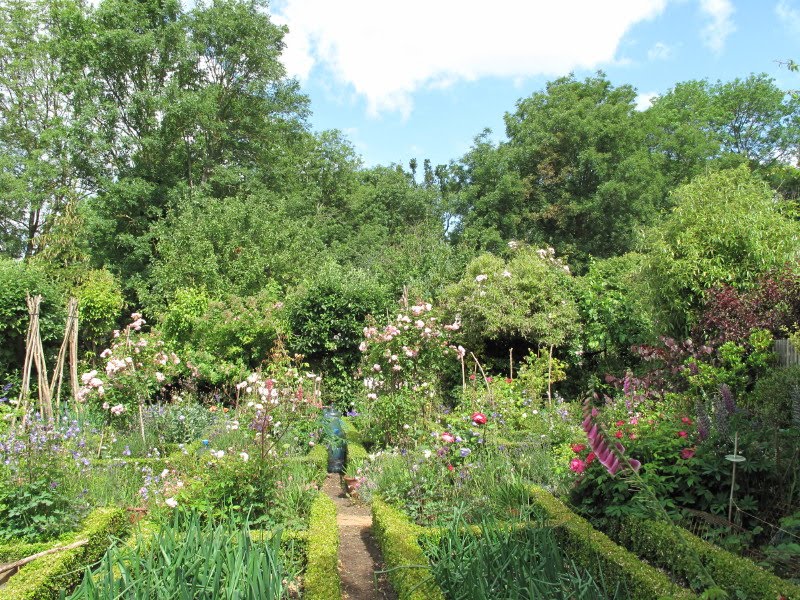 Joanne's Cottage Garden: A STROLL AROUND MY JUNE GARDEN