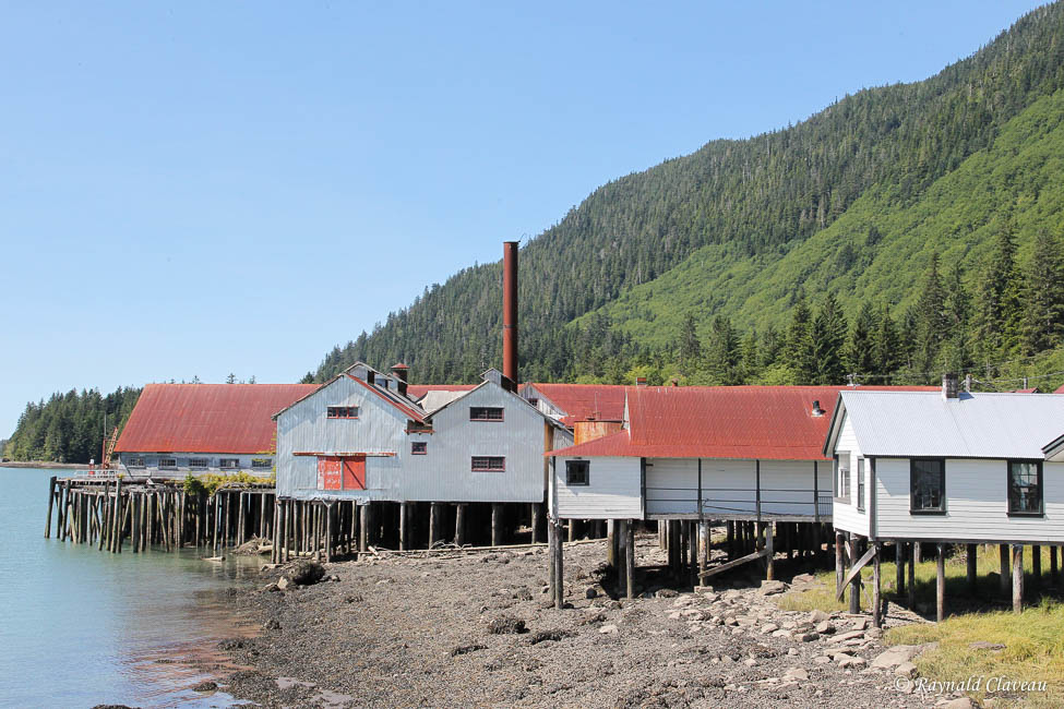 Photographie de la faune et Voyages Alaska 21 KITIMAT, PRINCE RUPERT
