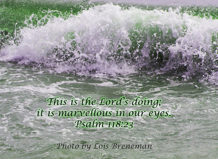 Ocean - Psalm 118:23