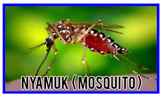 http://sabripestcontrol.blogspot.my/2016/09/nyamuk-mosquito.html
