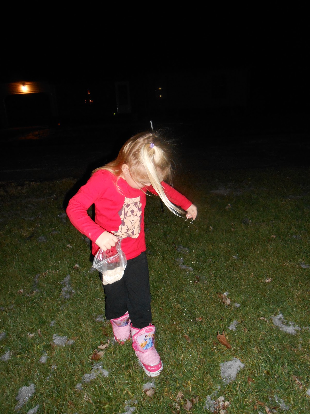 Glimpses of Camden Christmas Eve Prep