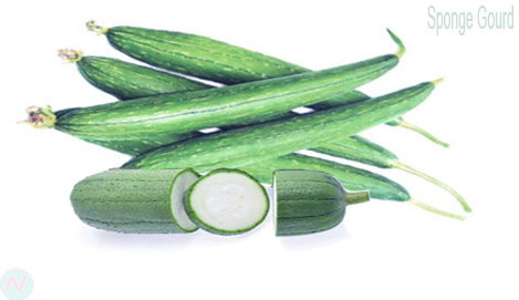 Vegetables Names With Meaning And Picture Vegetable Vocabulary Necessary Vocabulary