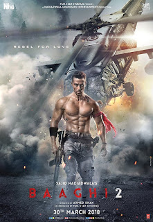 Baaghi 2 2018 Hindi 600MB HDRip 720p HEVC x265