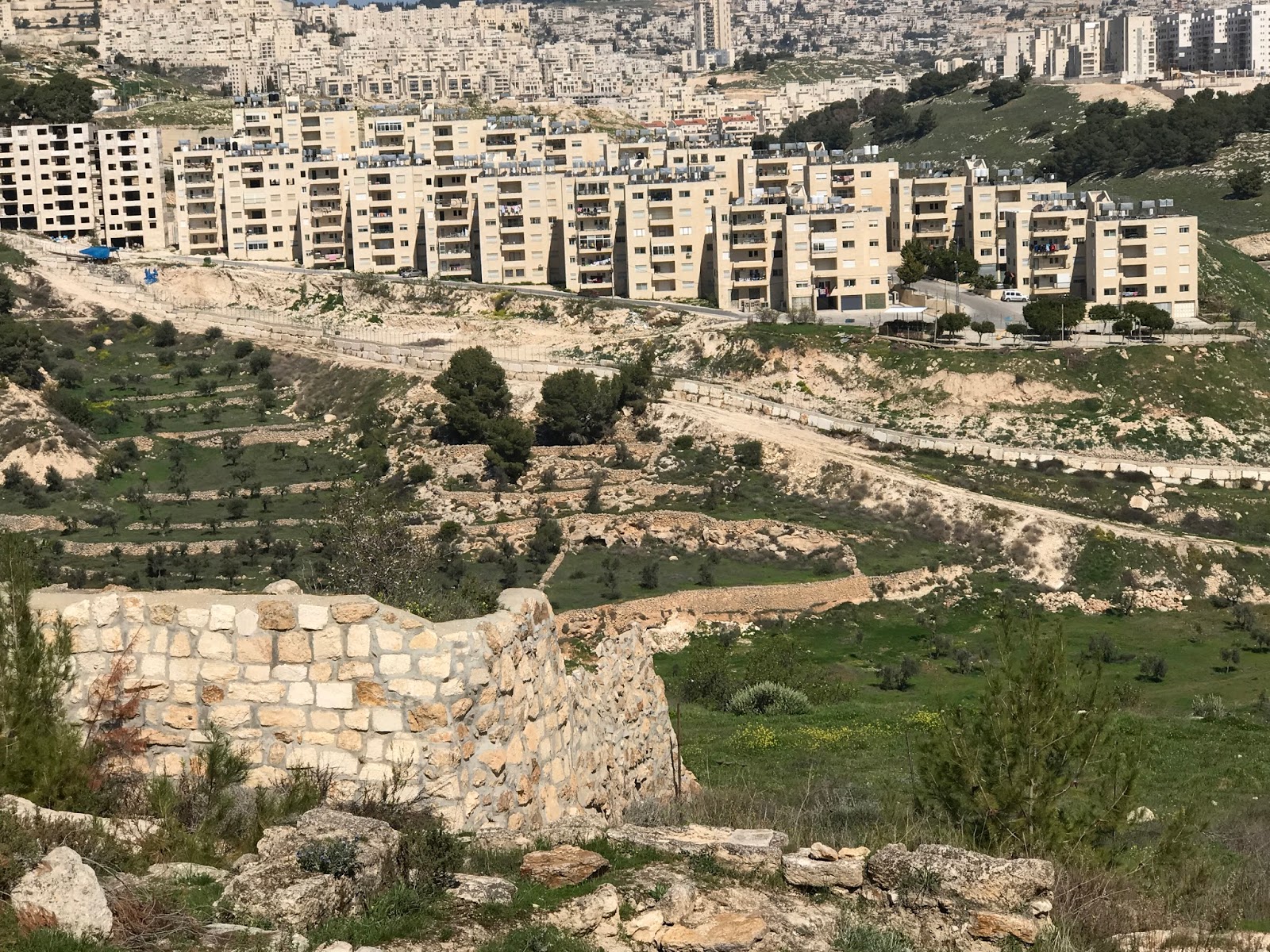 Lots of Scotts Our Holy Land Experience Bethlehem, Shepherds' Fields