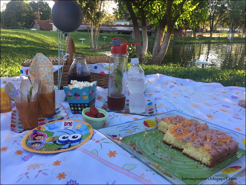 Olha o que eu sei fazer!: Piquenique com as crianças - o que levar