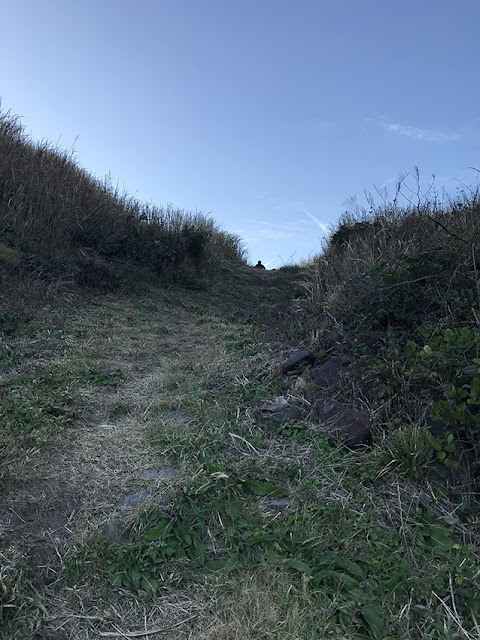 島根県　石拾い