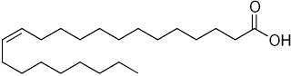 formula-estrutural-acido-erucico