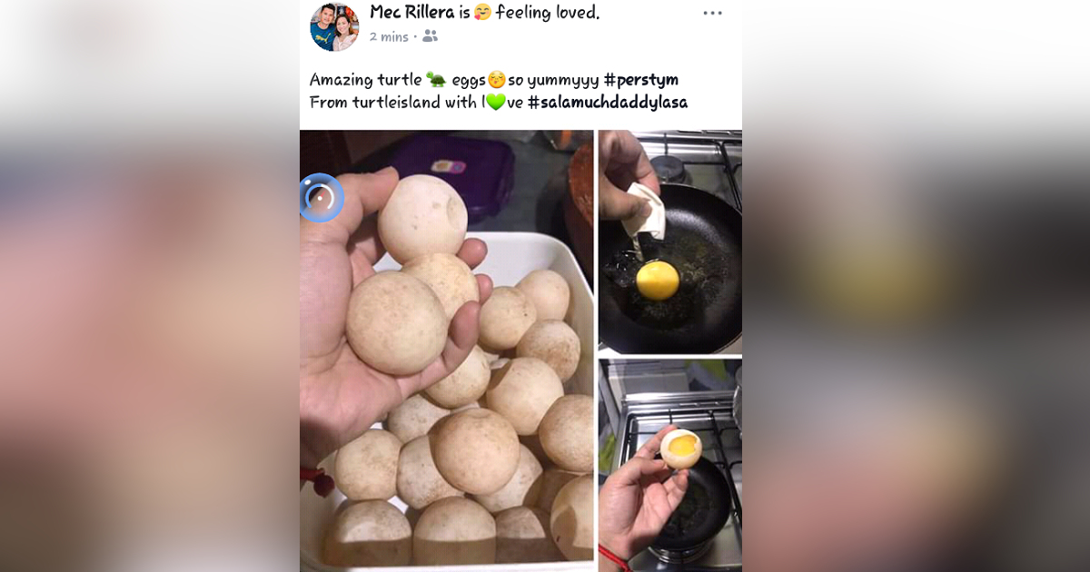 Former mayor draws flak after cooking and eating turtle eggs
