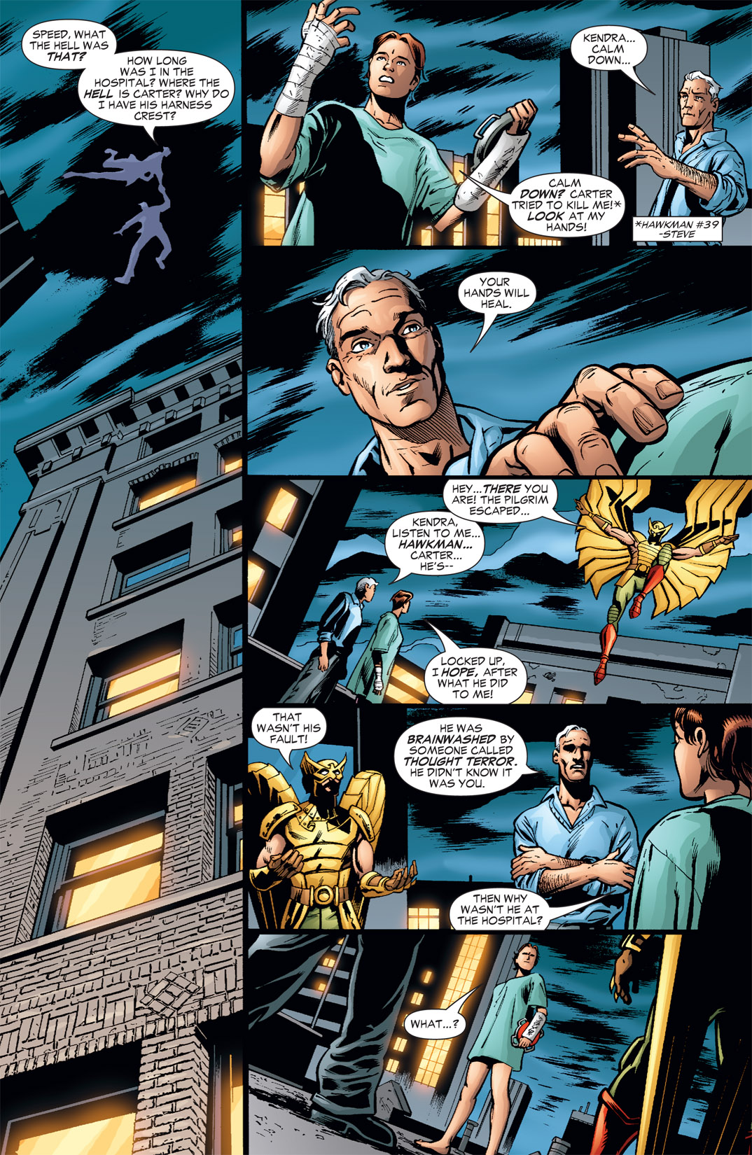 Hawkman (2002) Issue #42 #42 - English 10