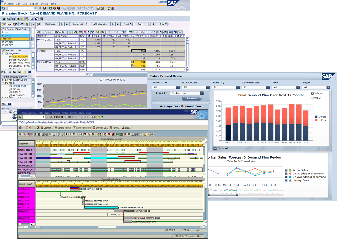 SAPISFACTION: SAP RDS (Rapid Deployment Solutions): Valor inmediato a ...
