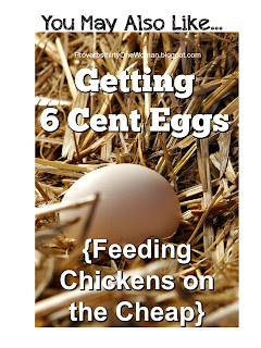 http://proverbsthirtyonewoman.blogspot.com/2011/12/getting-06-cent-eggs-or-feeding.html#.WIEK9X3krcQ