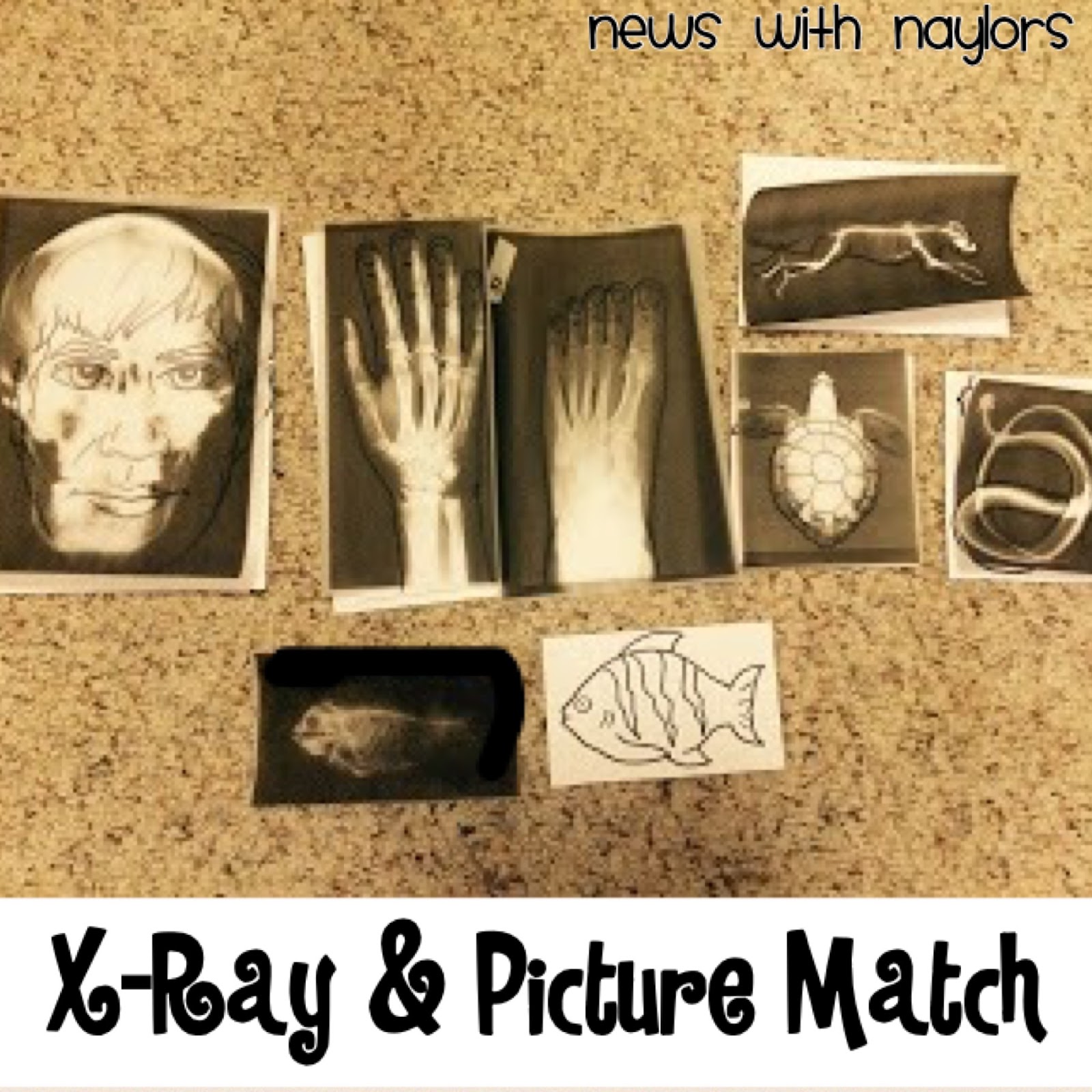 Letter X XRays Craft, XRay Match, XRay Light Box (Day 2)