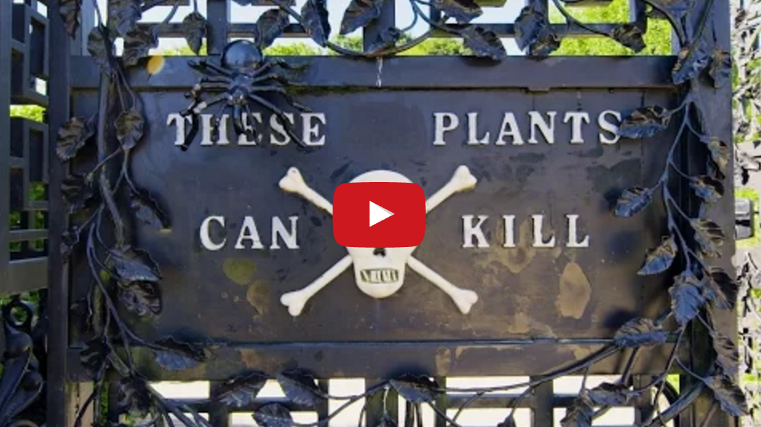 The Deadliest Garden in the World