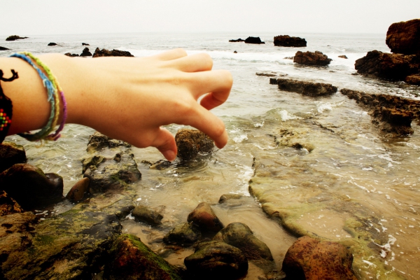 Resultado de imagem para DESPERTANDO A CONSCIÊNCIA - A RIQUEZA e a ABUNDÂNCIA emanam da SABEDORIA ESPIRITUAL