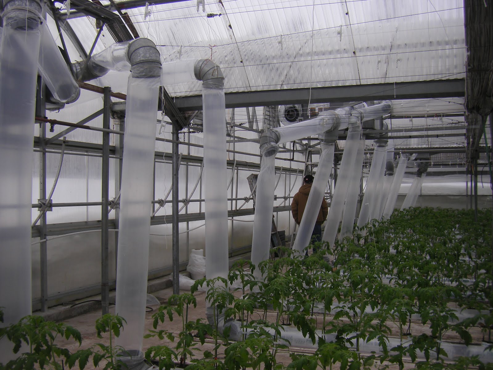 Carters In Alaska Greenhouse Visit in Anchorage March 2,2012