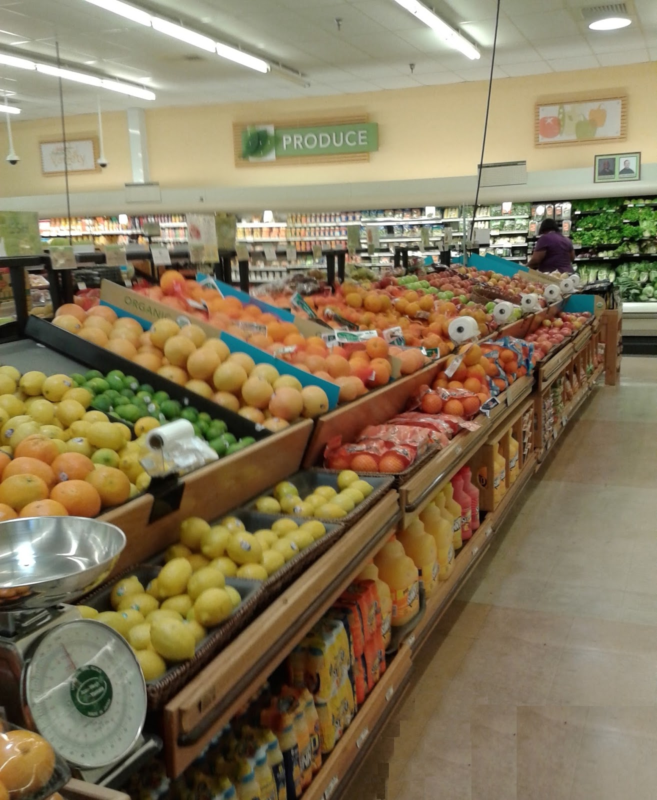 Albertsons Florida Blog Get Your Lion's Share of Publix