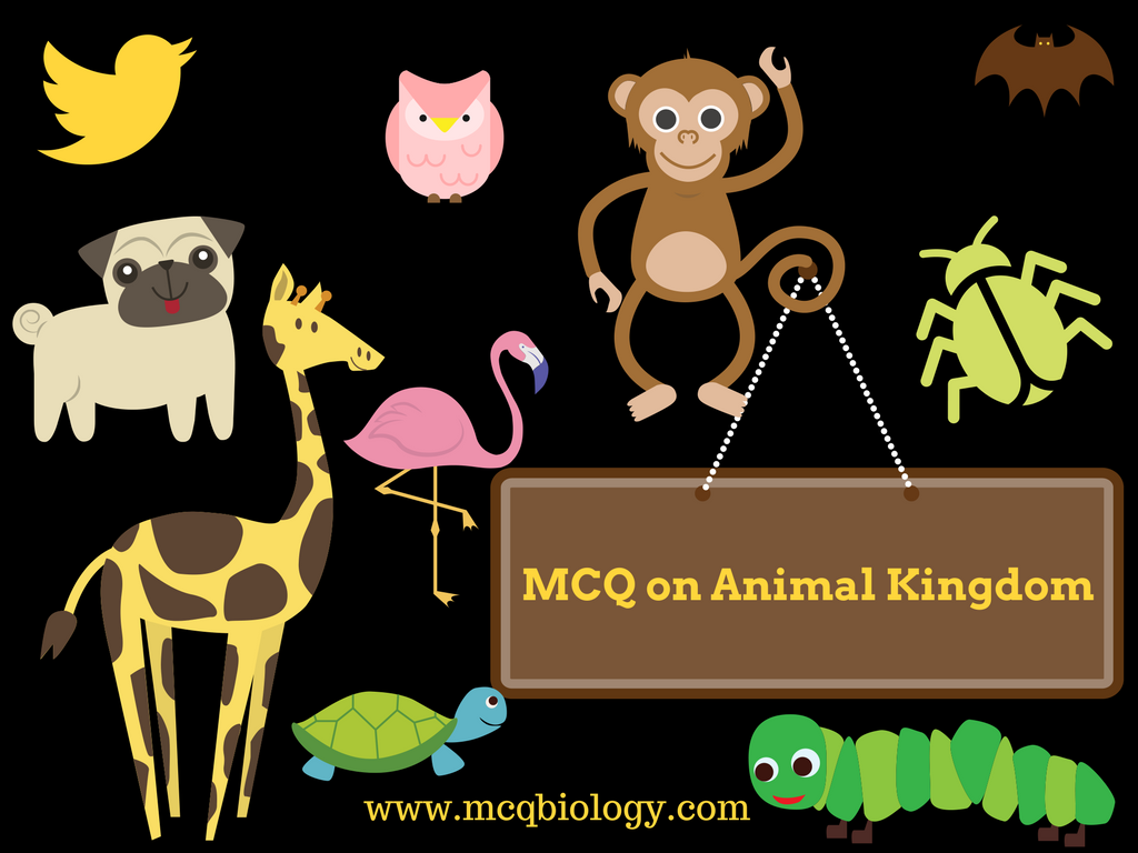 Animal Kingdom - Multiple Choice Questions and Quizzes