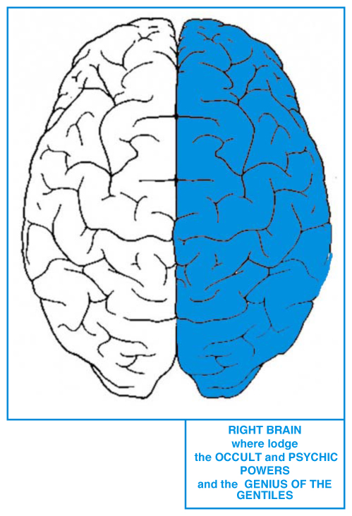 GENTILE-BRAIN.jpg