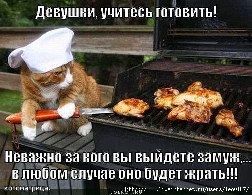 к такому жизнь меня не готовила картинки. к такому жизнь меня не готовила картинки. шутки про готовку. не готовясь. хозяйка села на диету.