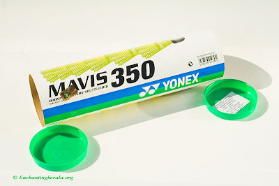 DIY Bellows Extension Tube for Extreme Macro Photography