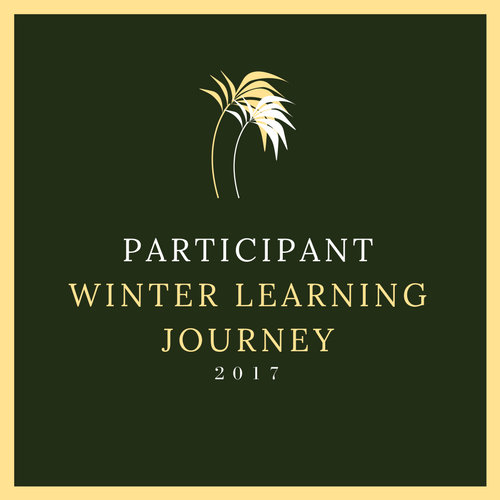 Winter Learning Journey Award 2017