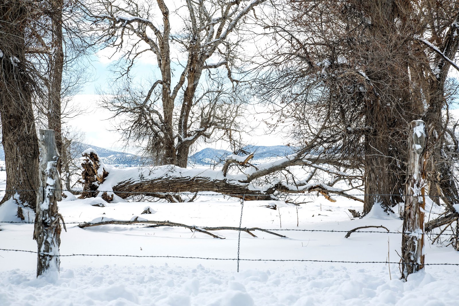 Lowe Family Blog Snow Day in Beaver, Utah