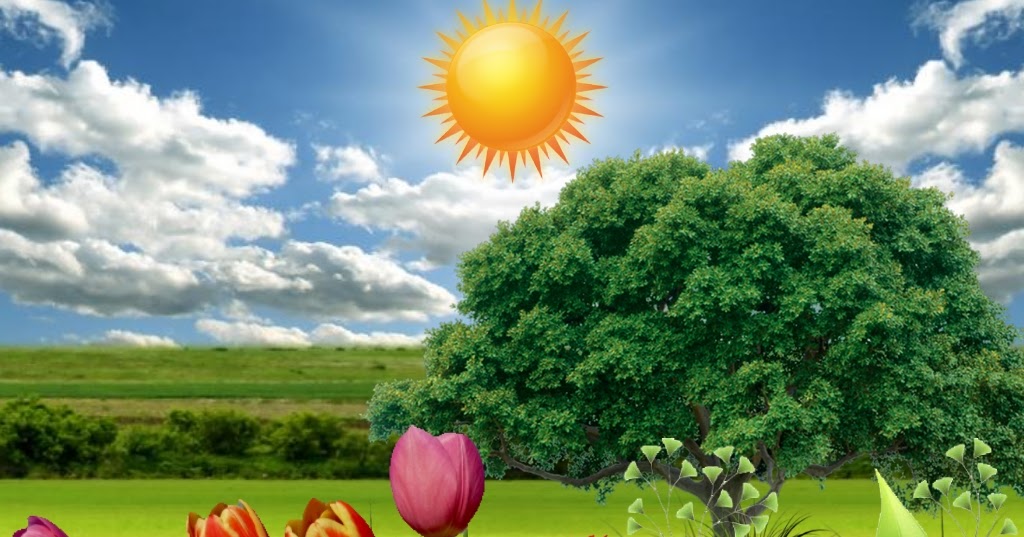 Why Are Flowering Plants The Most Successful Land Plants