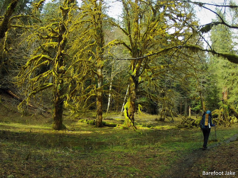 Enchanted Valley Trail